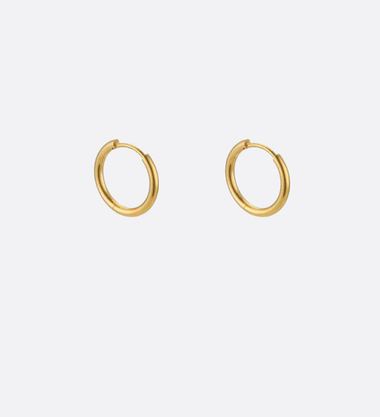 Hoop earrings